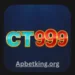 CT999 Game