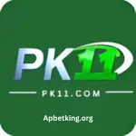PK11 Game